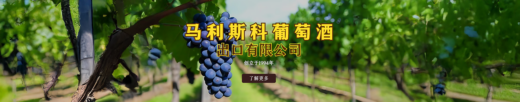 chinese header